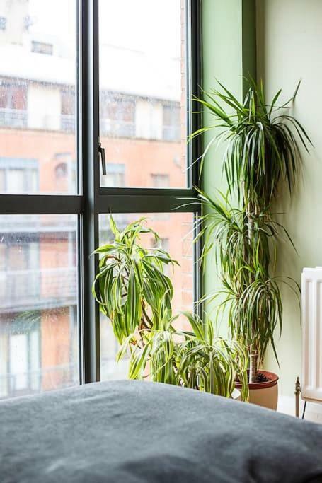 Spacious Belfast City Centre Duplex Apartment Exteriér fotografie
